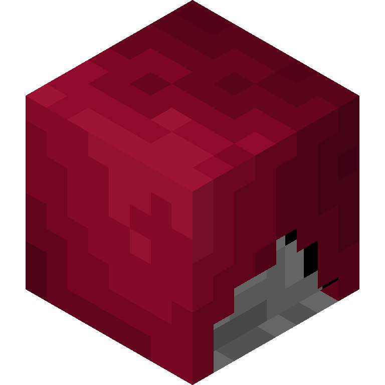HEAD_ISO