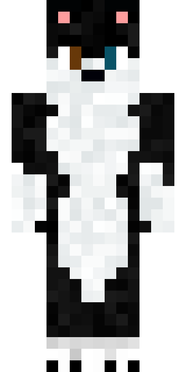 BODY