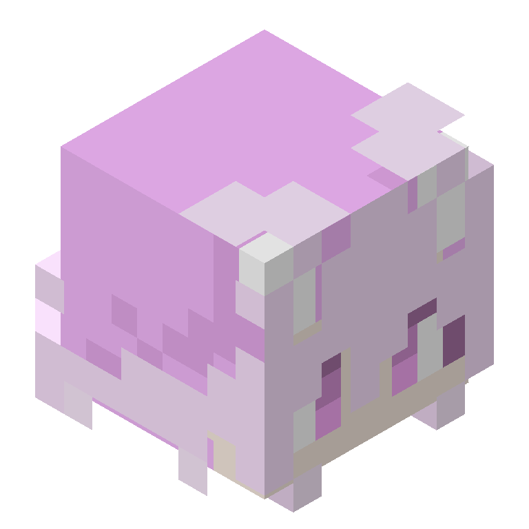 HEAD_ISO