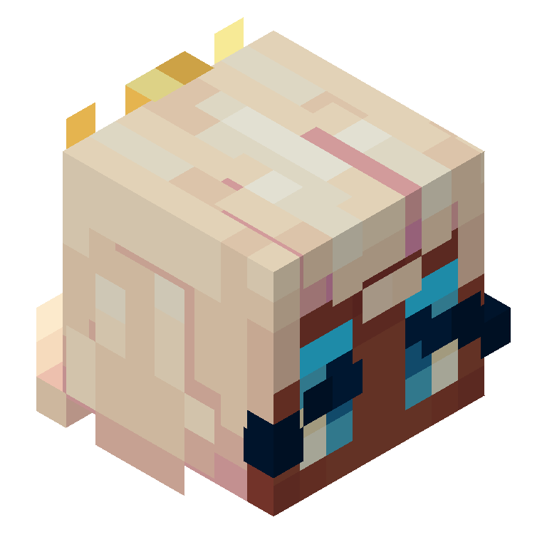 HEAD_ISO