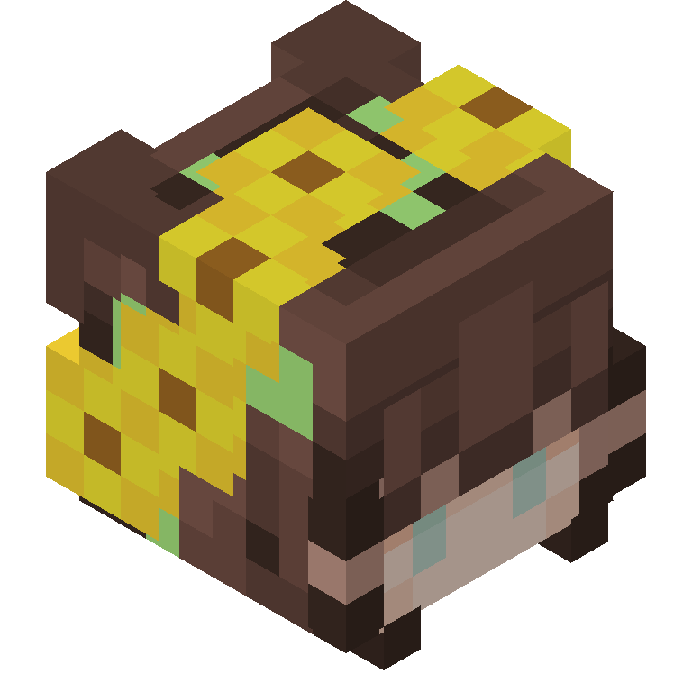 HEAD_ISO