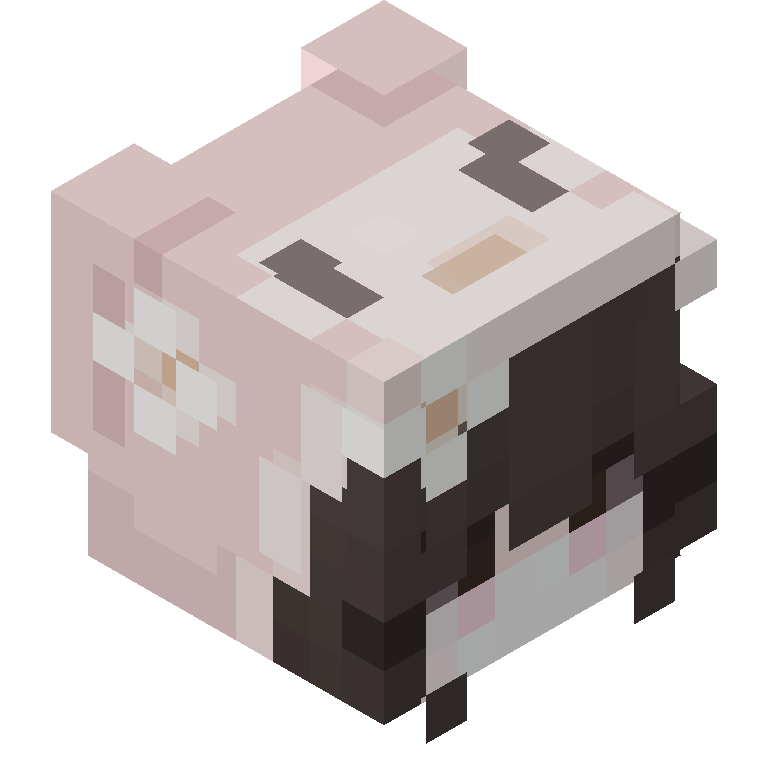 HEAD_ISO