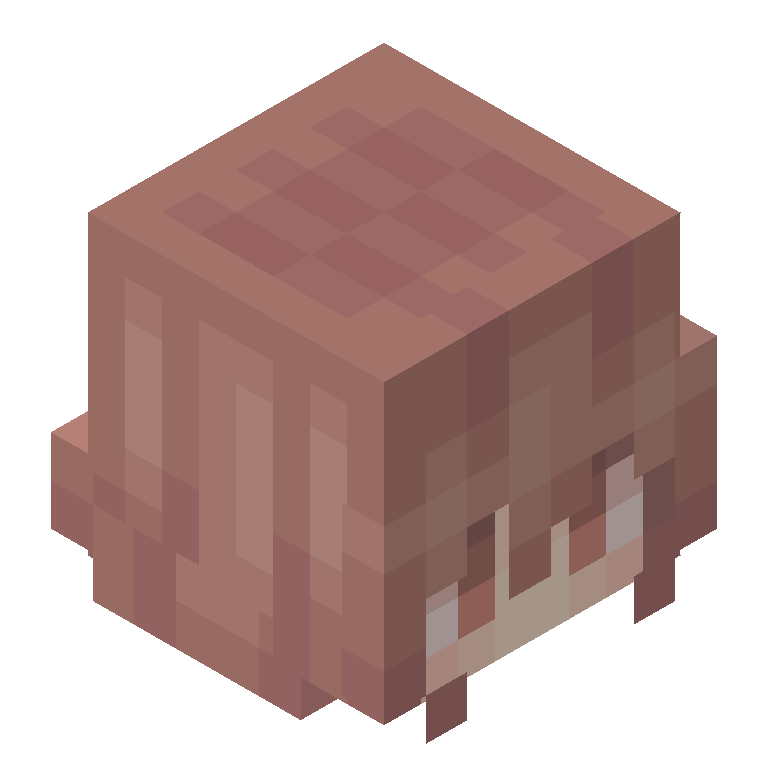 HEAD_ISO