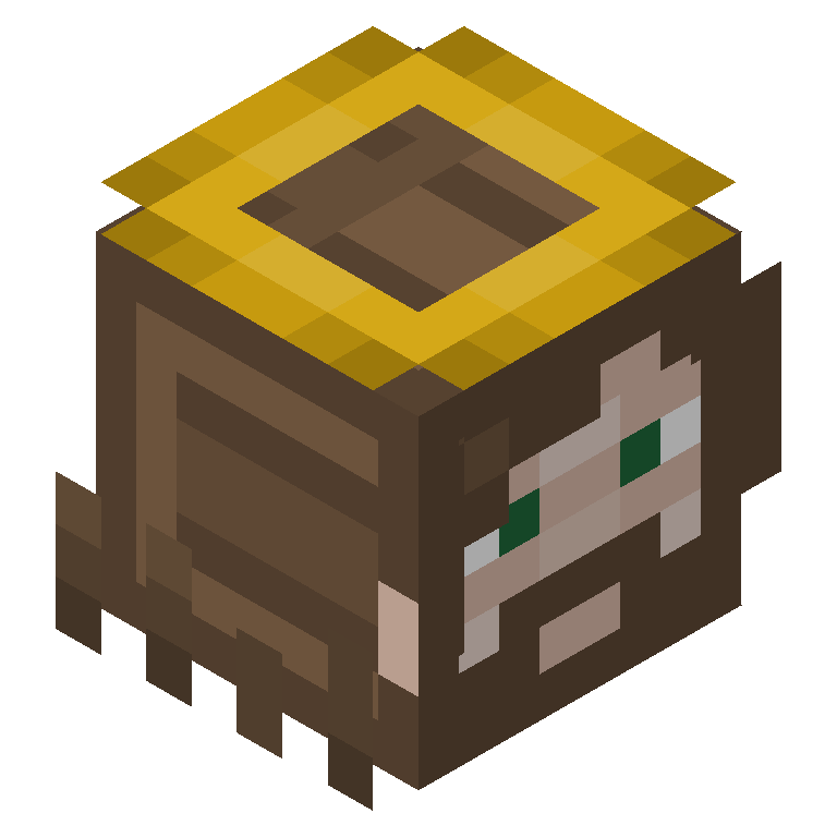HEAD_ISO