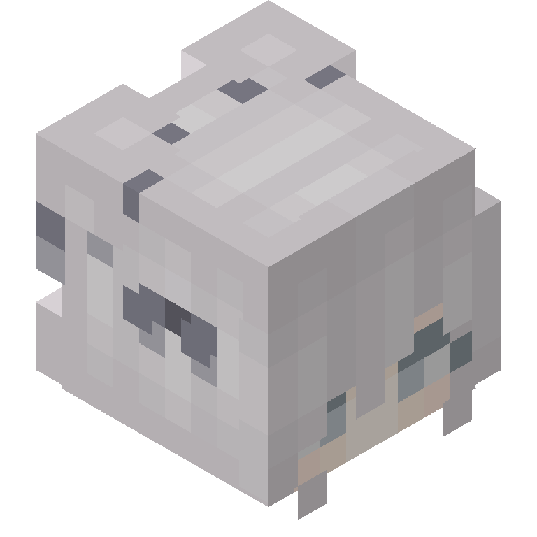 HEAD_ISO