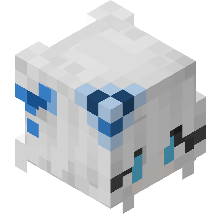 HEAD_ISO