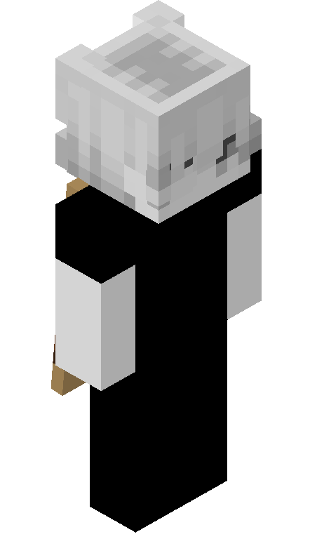 MaceConfig skin - FULLBODY_ISO_FRONT