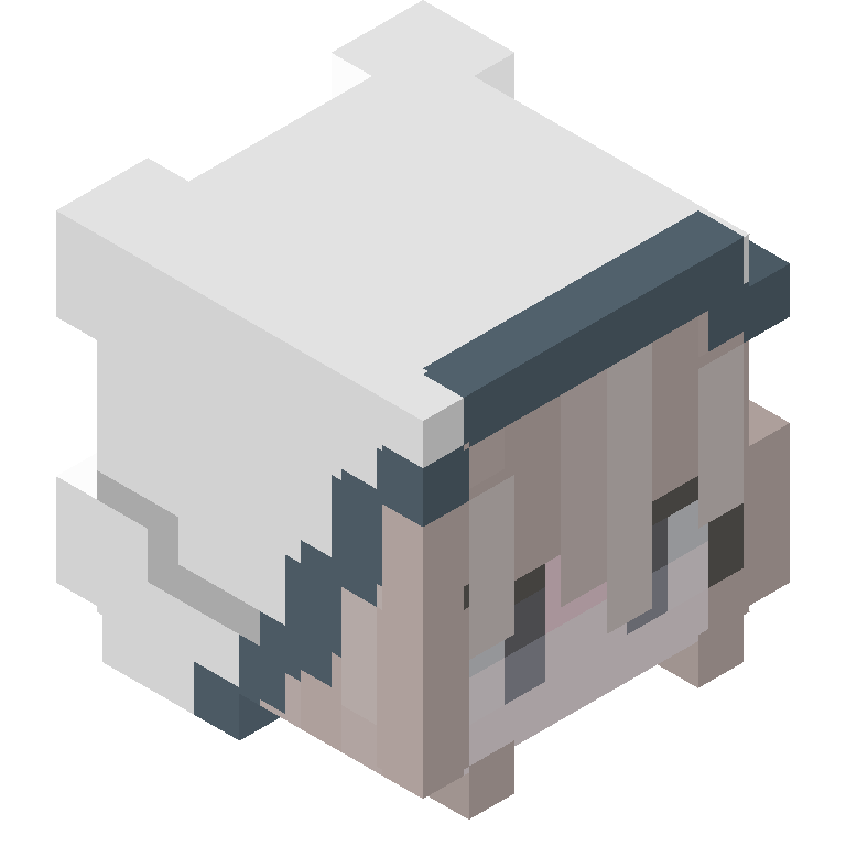 HEAD_ISO