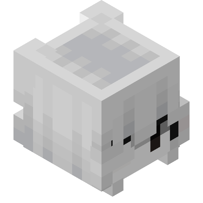 HEAD_ISO