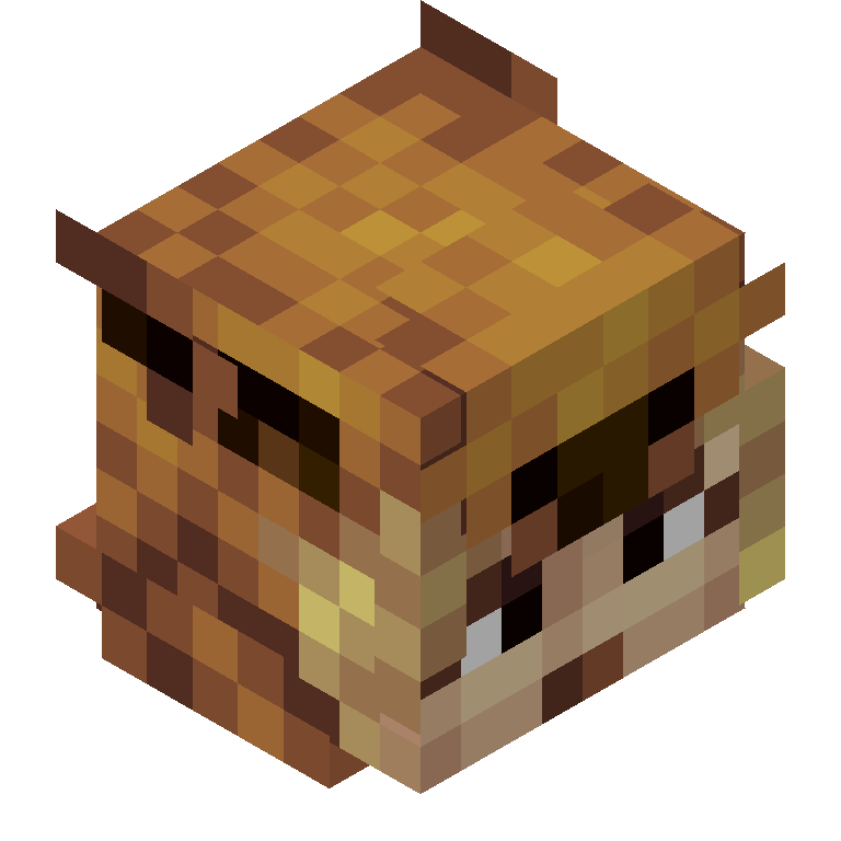 HEAD_ISO