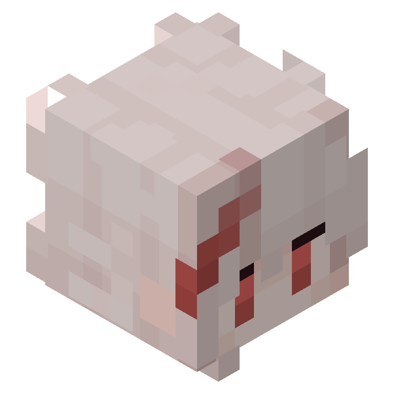 HEAD_ISO