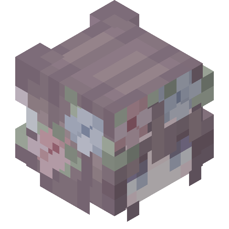 HEAD_ISO