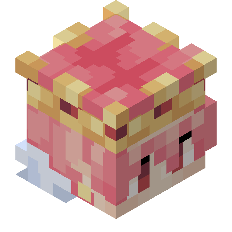 HEAD_ISO