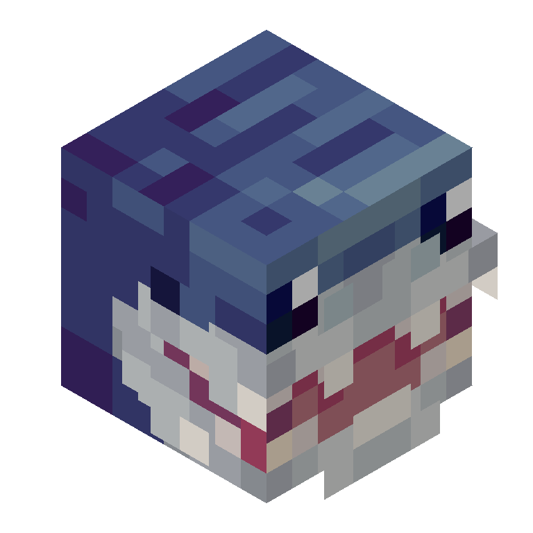 HEAD_ISO
