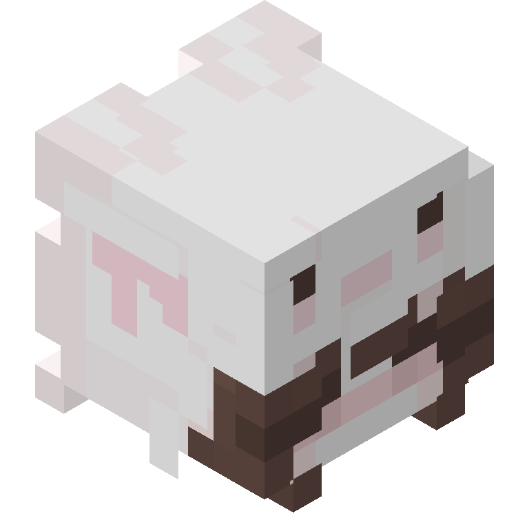 HEAD_ISO