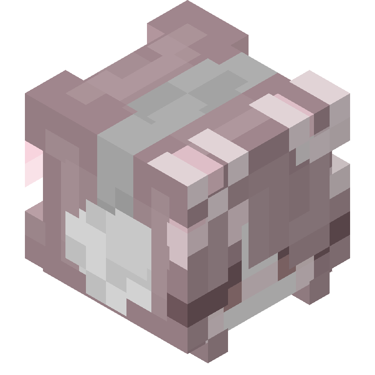 HEAD_ISO