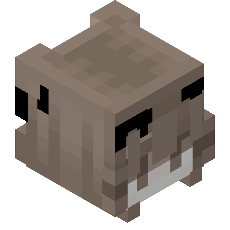 HEAD_ISO