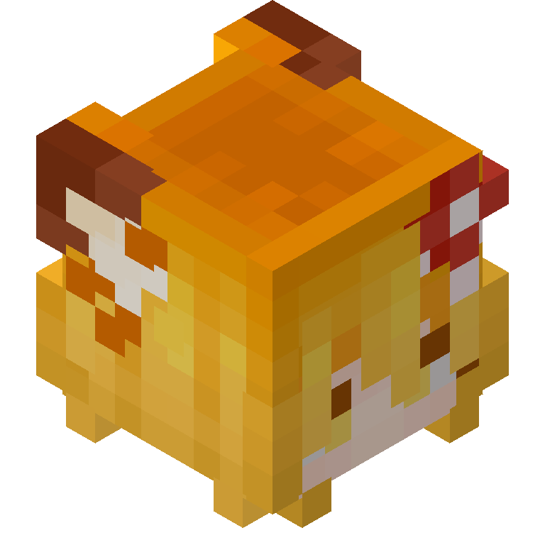 HEAD_ISO