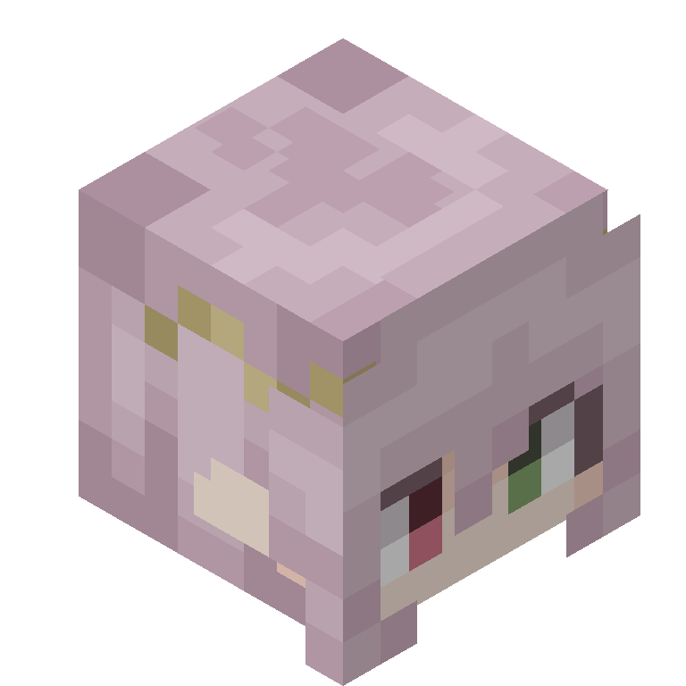 HEAD_ISO