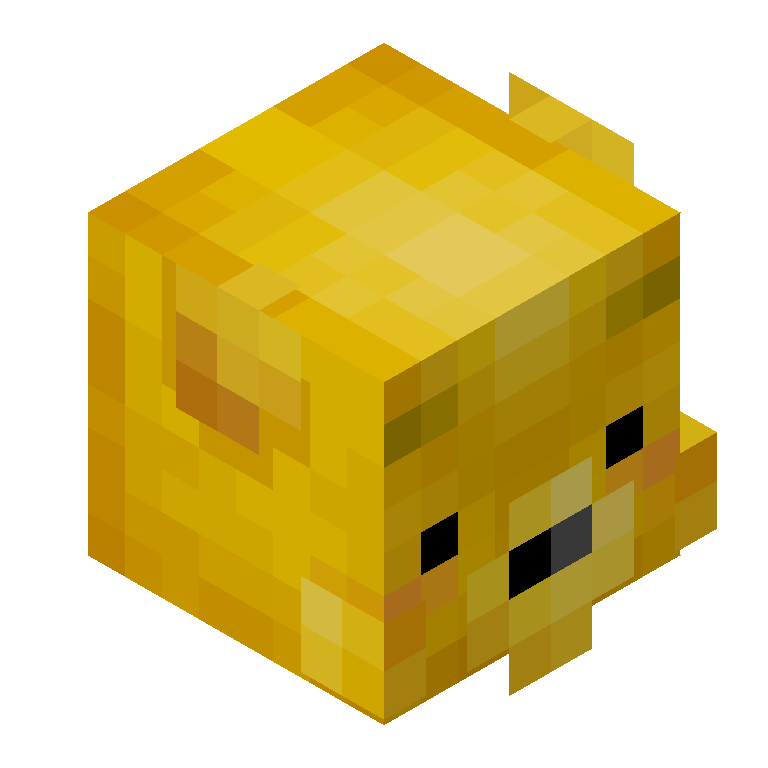 HEAD_ISO