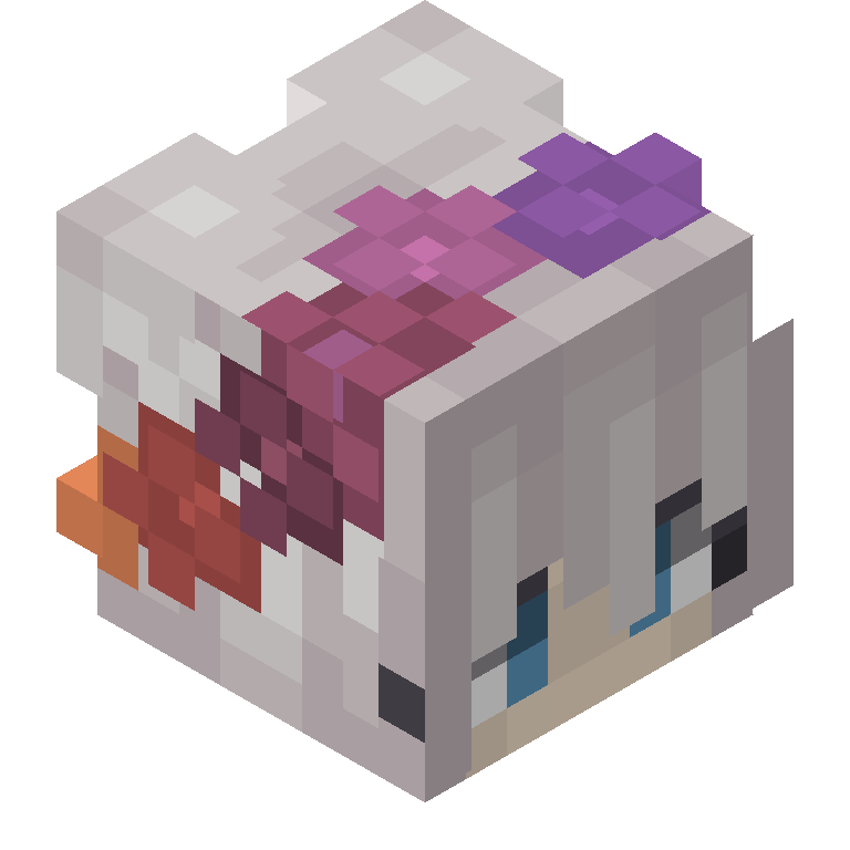 HEAD_ISO