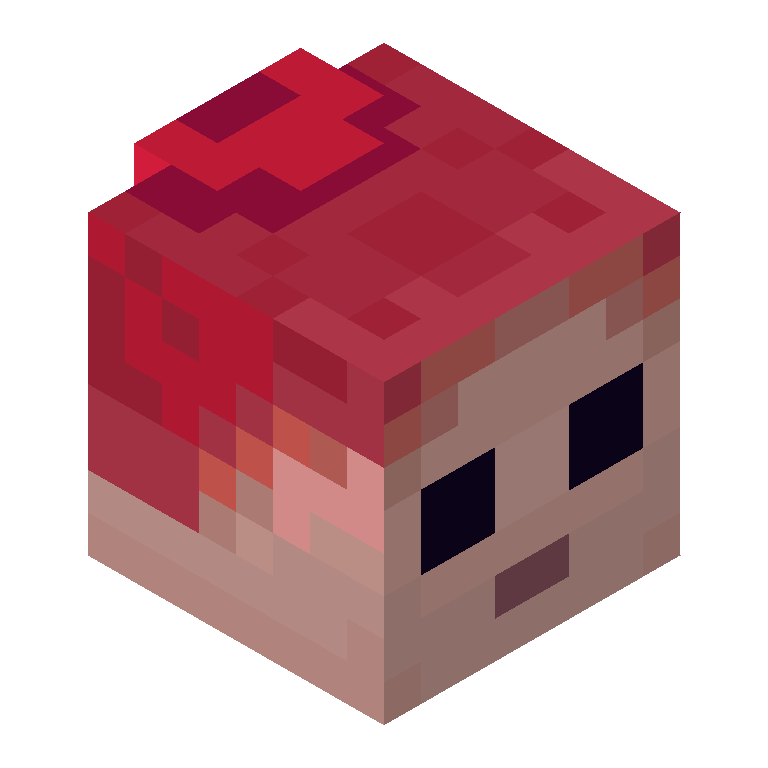 HEAD_ISO