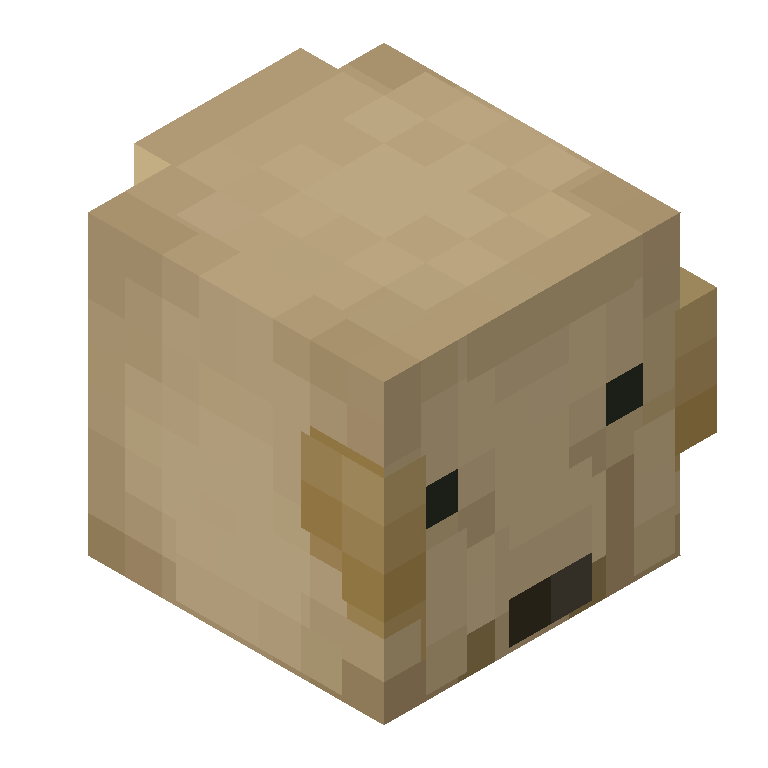 HEAD_ISO