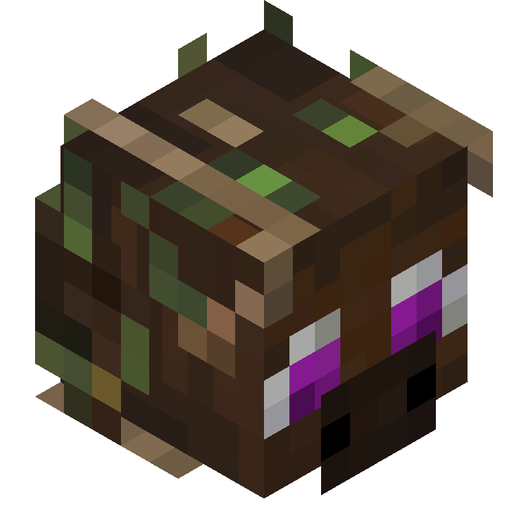 HEAD_ISO