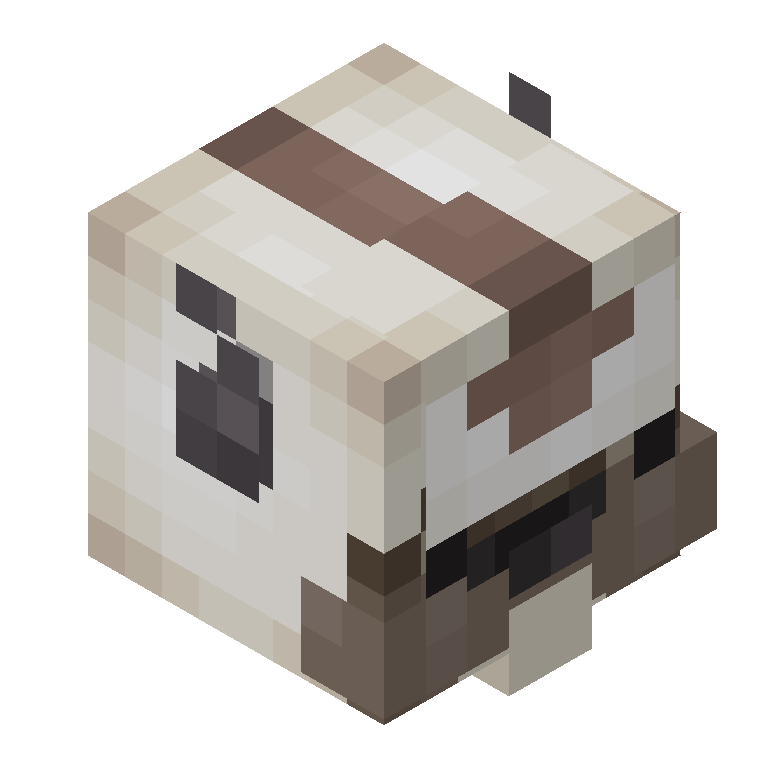 HEAD_ISO