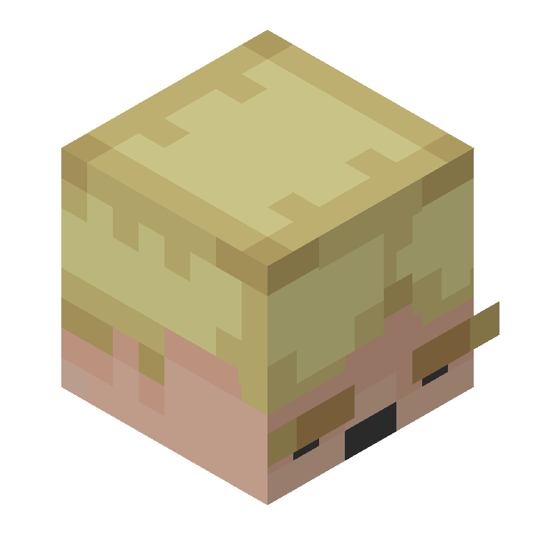 HEAD_ISO
