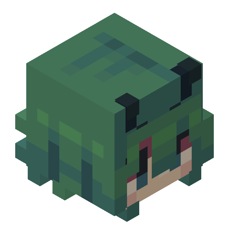 HEAD_ISO
