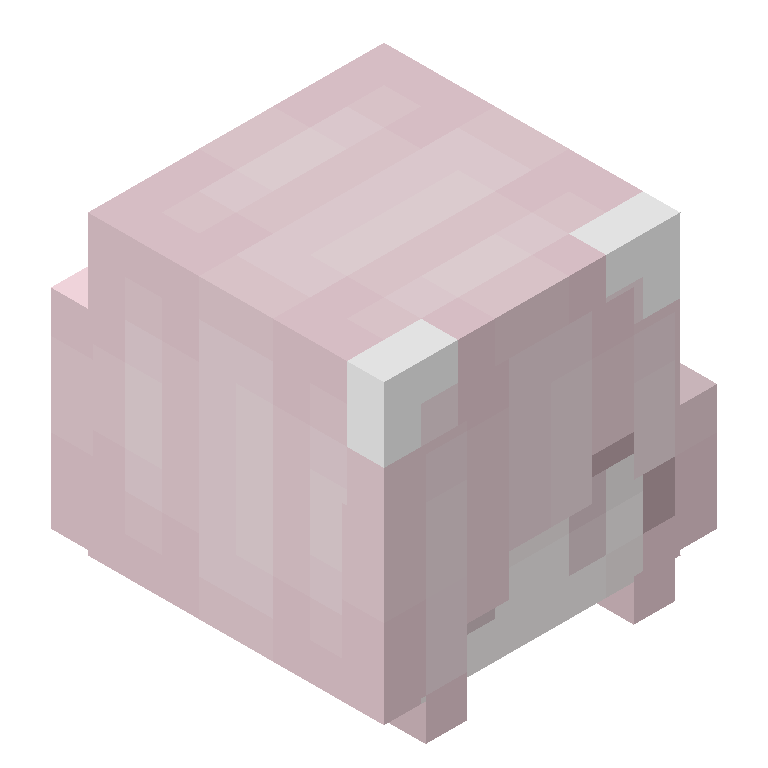 HEAD_ISO