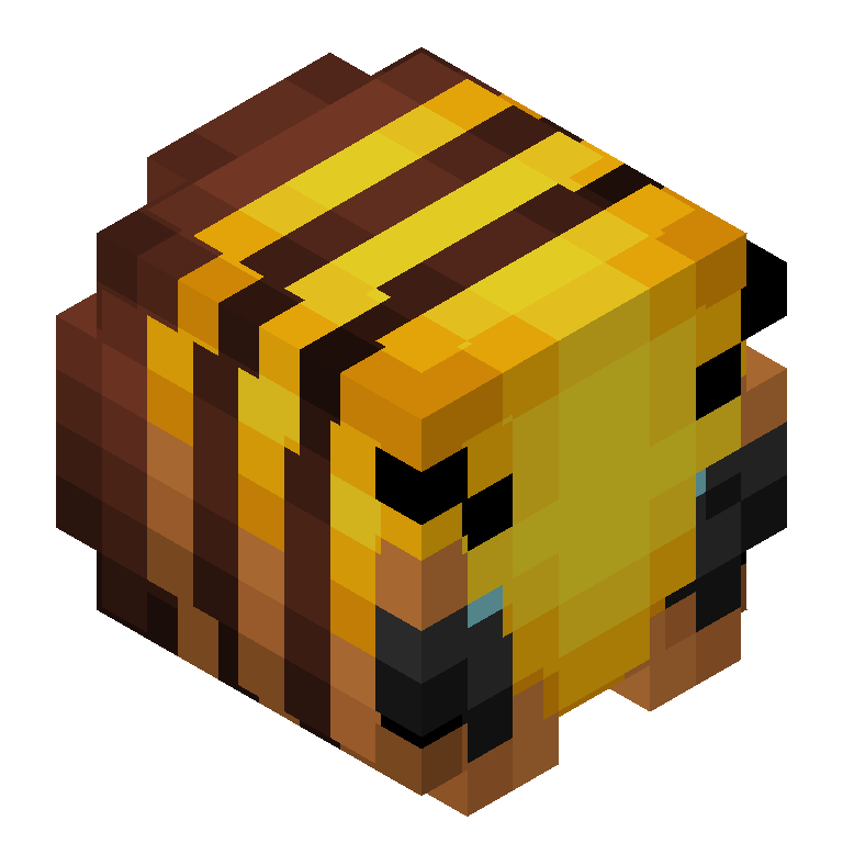 HEAD_ISO
