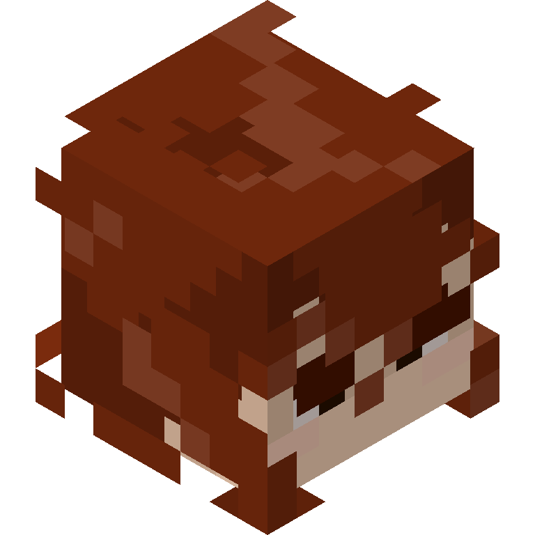 HEAD_ISO