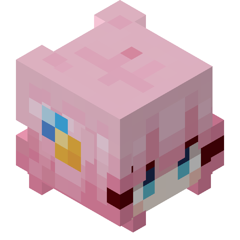 HEAD_ISO