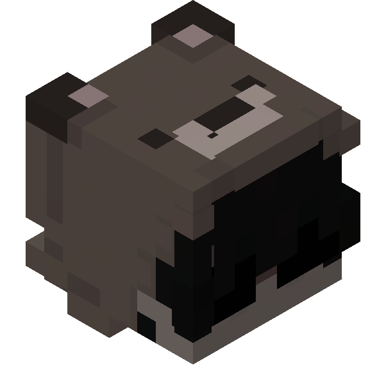 HEAD_ISO