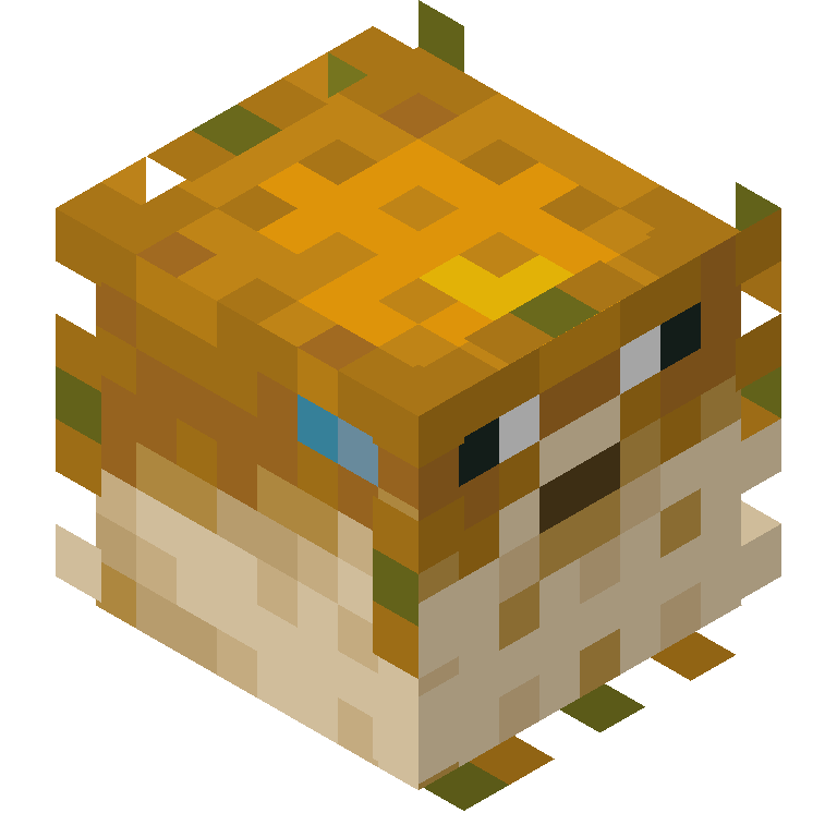 HEAD_ISO
