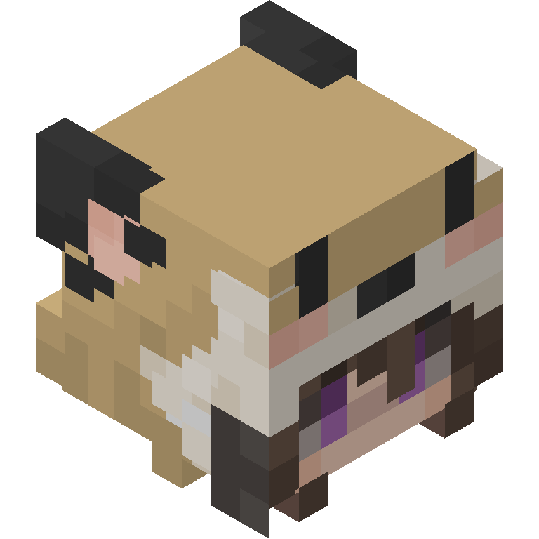 HEAD_ISO