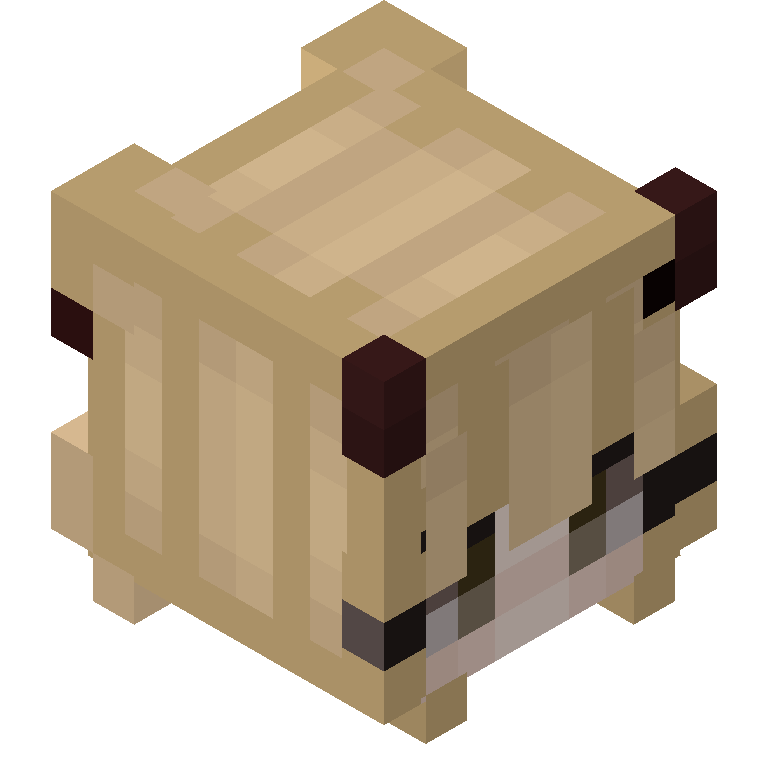 HEAD_ISO