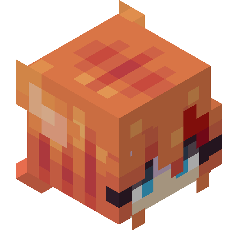 HEAD_ISO