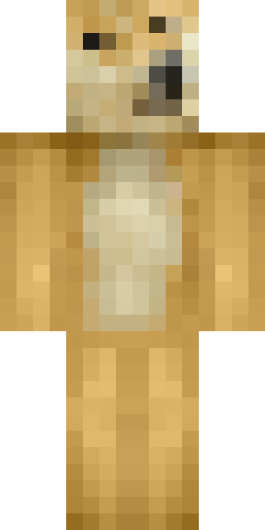 BODY