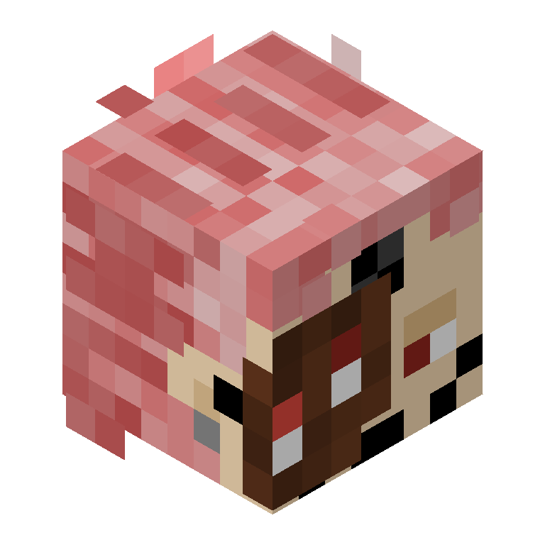 HEAD_ISO
