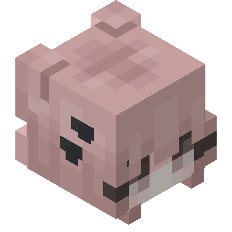HEAD_ISO