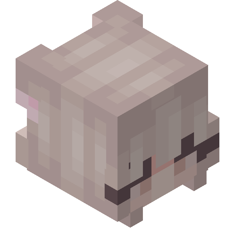 HEAD_ISO