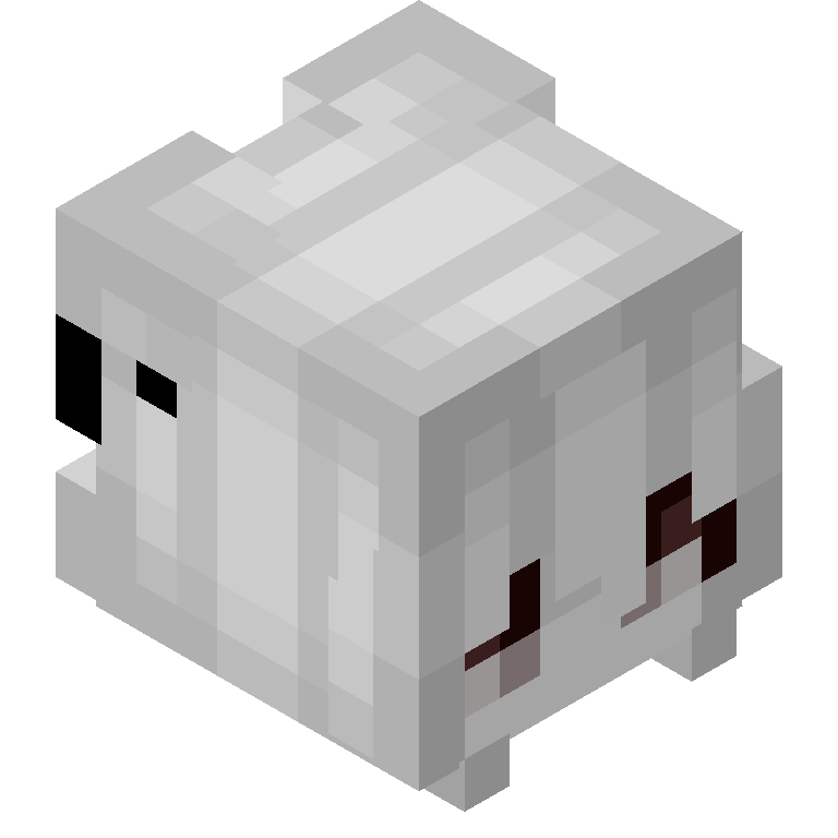 HEAD_ISO