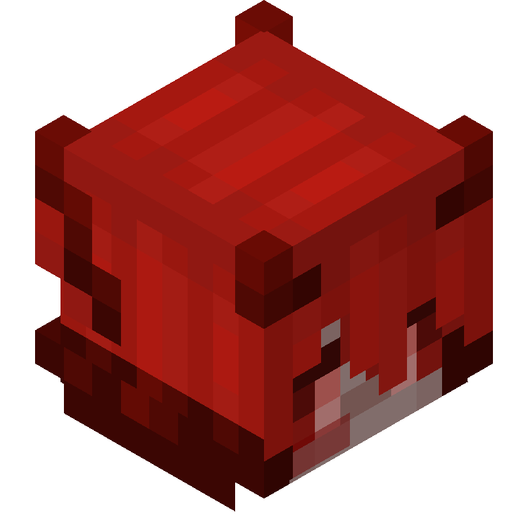 HEAD_ISO