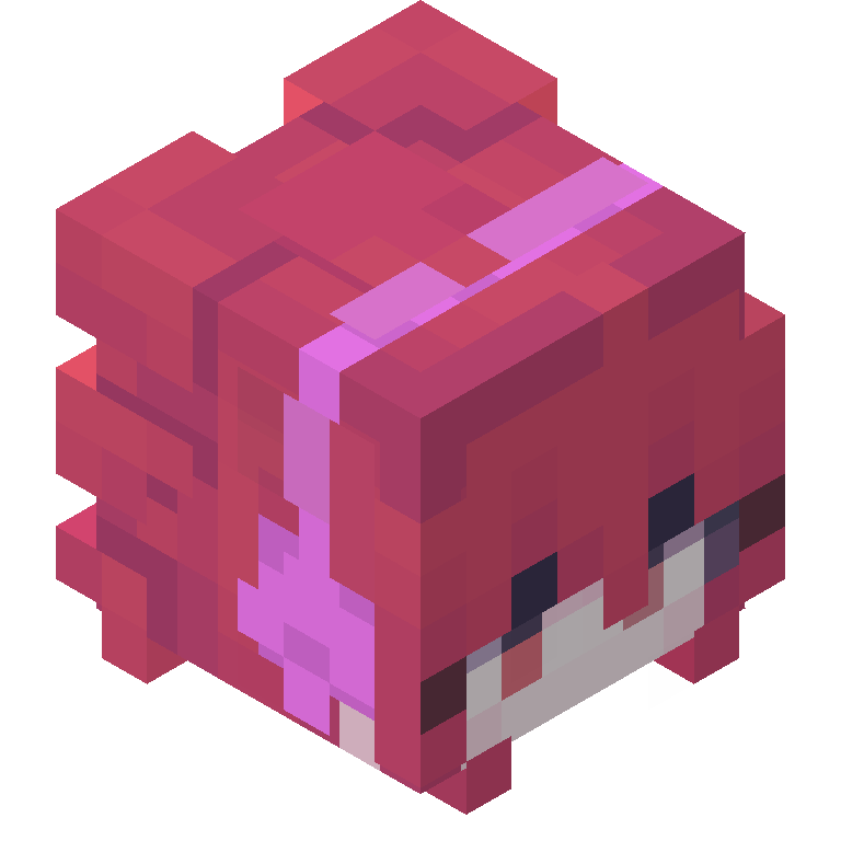 HEAD_ISO