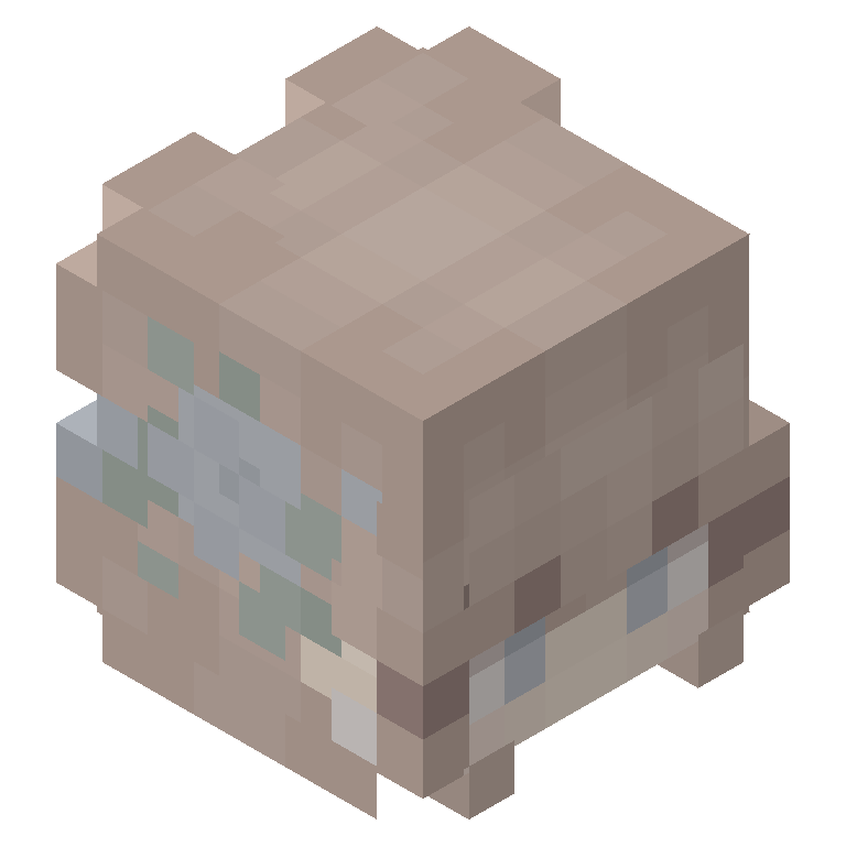 HEAD_ISO