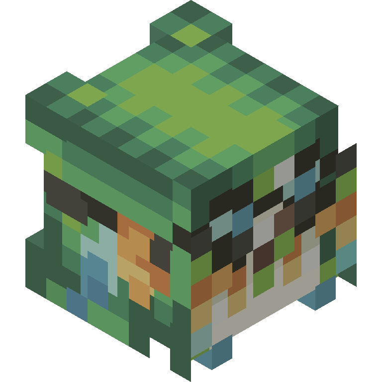 HEAD_ISO