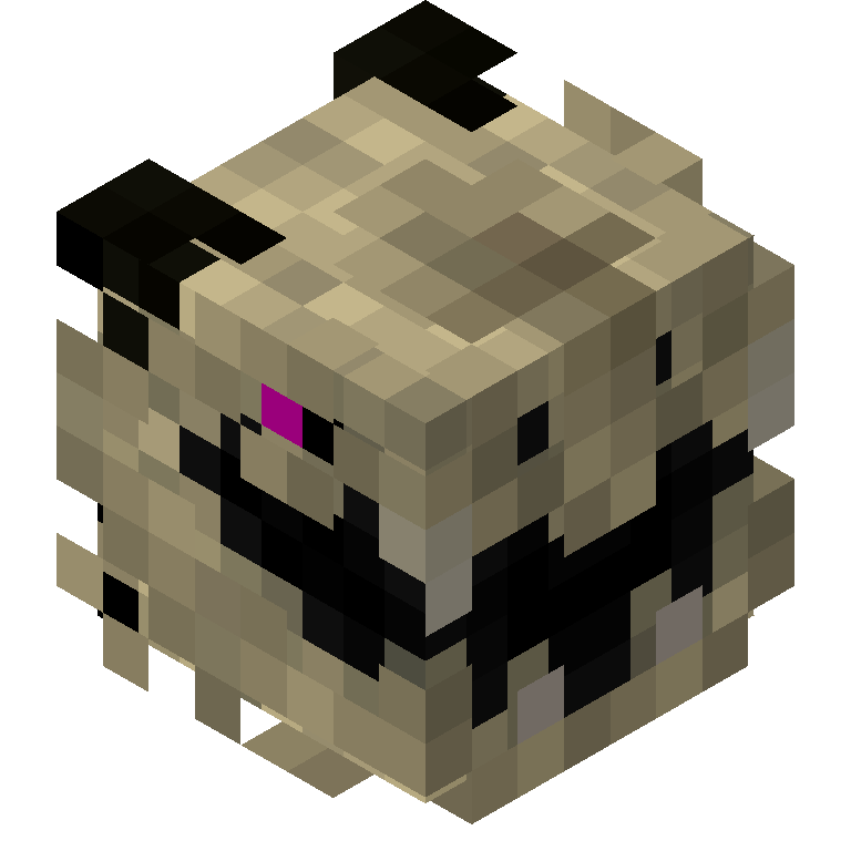 HEAD_ISO